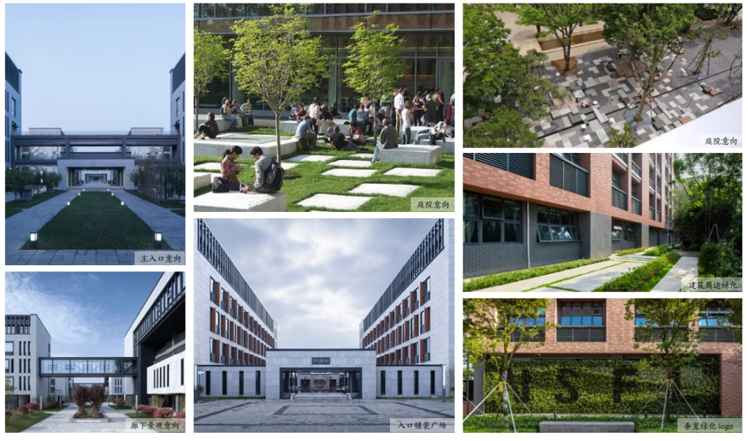 大学生篮球选手的心态建设指南_2